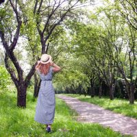 旅先で出会う樹木から昔の人に想いをよせる